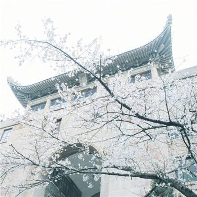 北京中学科技分校将于9月开学，北京科学高中已获批
